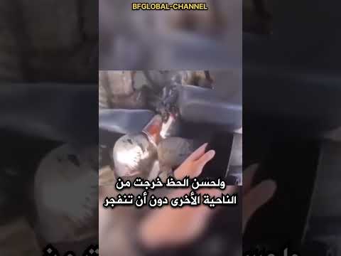 هؤلاء الجنود كتبت لهم حياة جديدة     السعودية العراق الجزائر المغرب