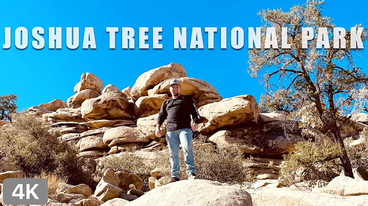 A Bouldering Paradise  | Joshua Tree National Park