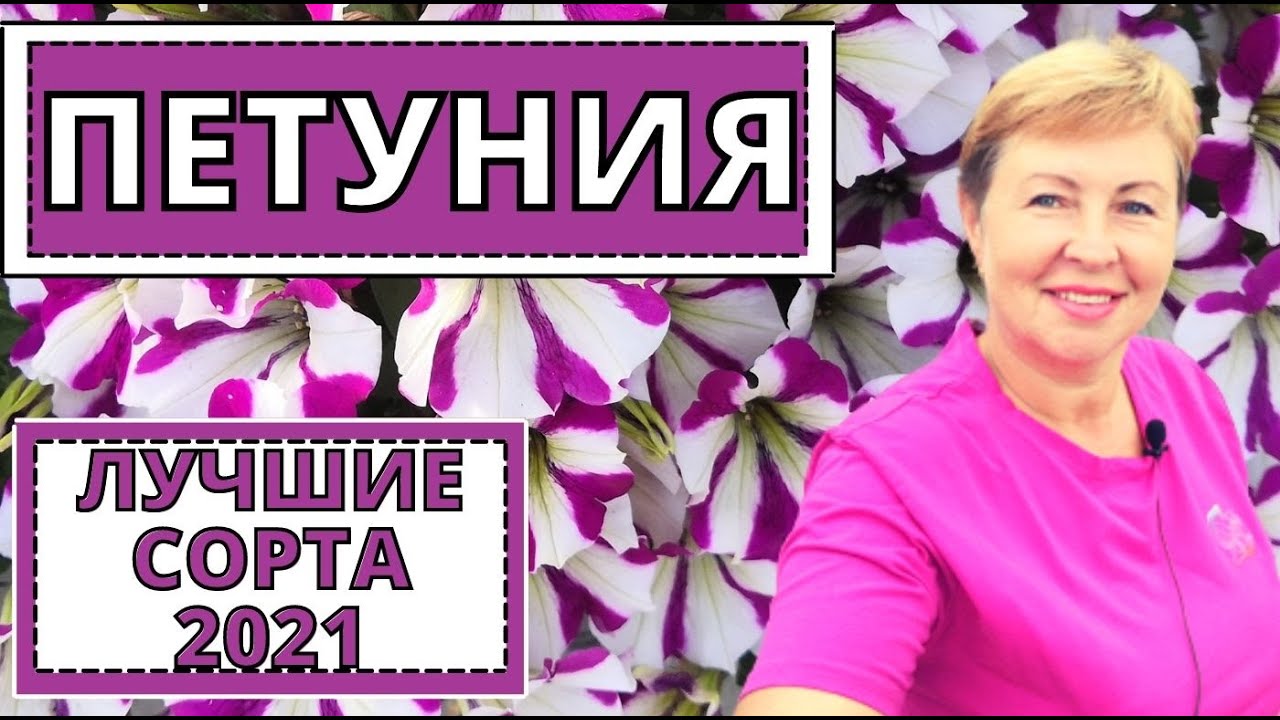 Новые Сорта Петунии 2022 Года