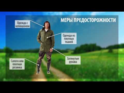 Осторожно! Клещи