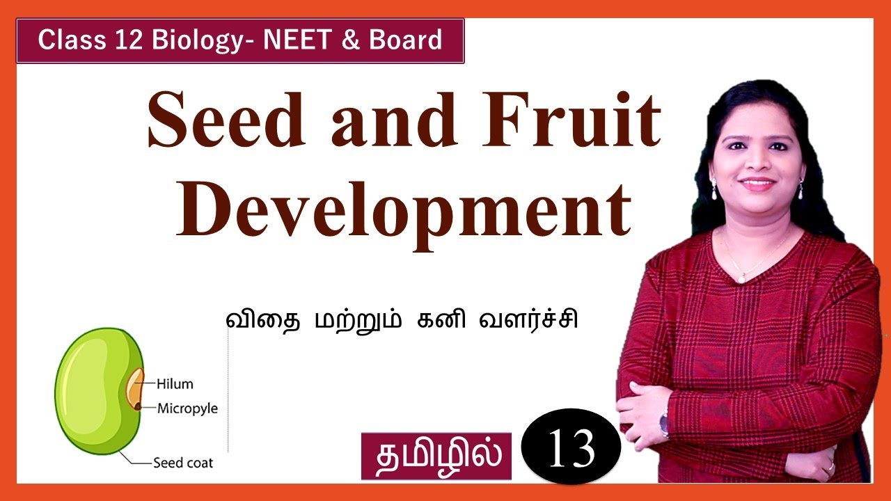 Seed and Fruit Development