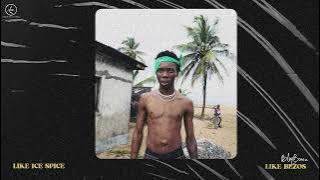 Blaqbonez - Like Ice Spice (Official Audio)