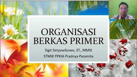 4. Organisasi Berkas Primer