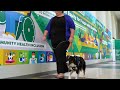 My Name's Arrow.  I'm a Service Dog!