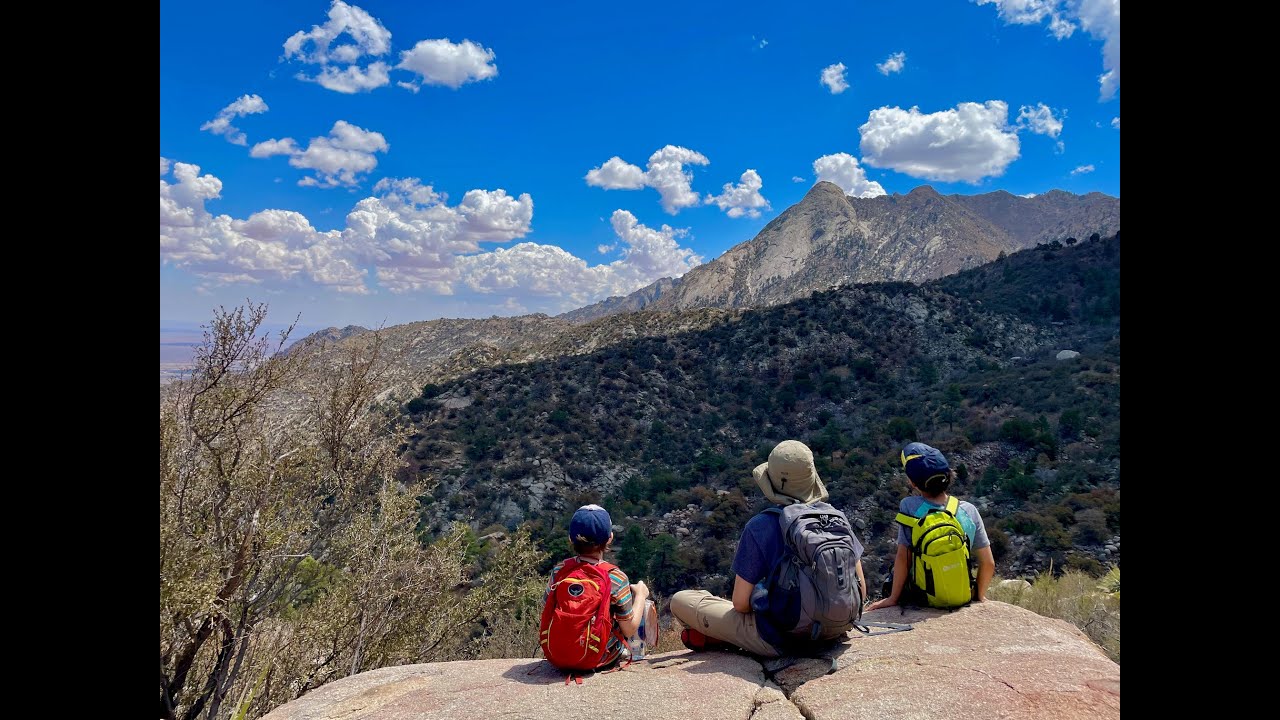 Pine Tree Trail Overview, Aguirre Spring Campground, Organ Mountains near Las Cruces, New Mexico