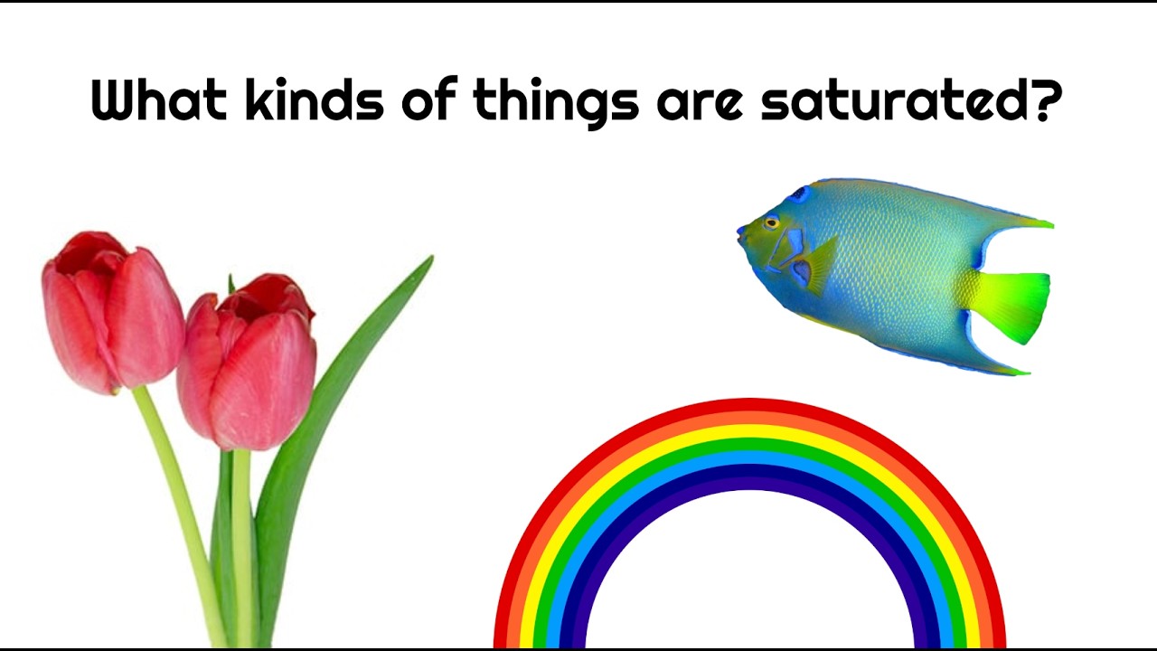 Vocab: Saturated
