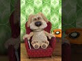 Talking Ben When Ben And Holly Comes On