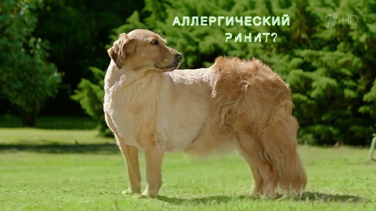 Реклама Фликсоназе