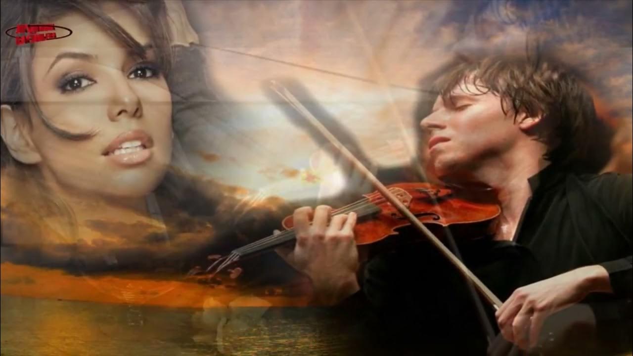 Грустный скрипач. Кот мем. Печальной будет эта песня о том. Четко фото приколы. Печальной будет эта песня о том.