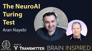 BI 209 Aran Nayebi: The NeuroAI Turing Test
