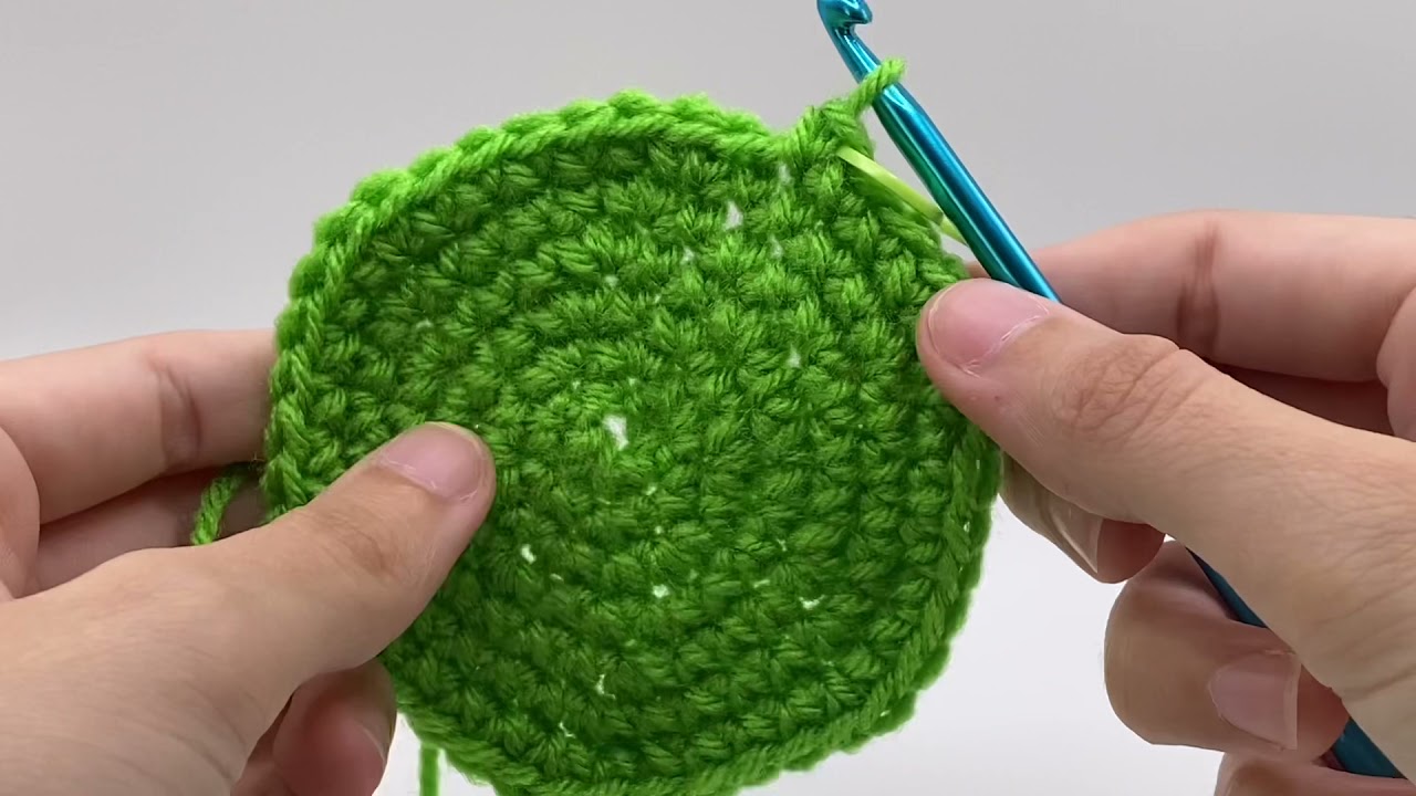RQWZBCHX 4 Pattern Animals Crochet Kit for Beginners Adult Kids