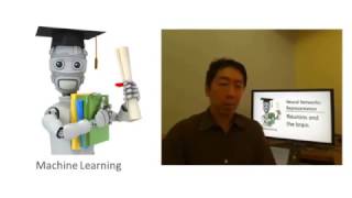 Lecture 0402 Neurons and the brain