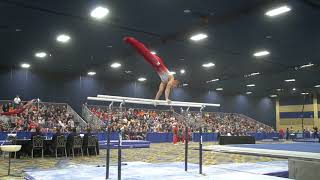 Christopher Stephenson - Parallel Bars - 2018 Winter Cup - Finals