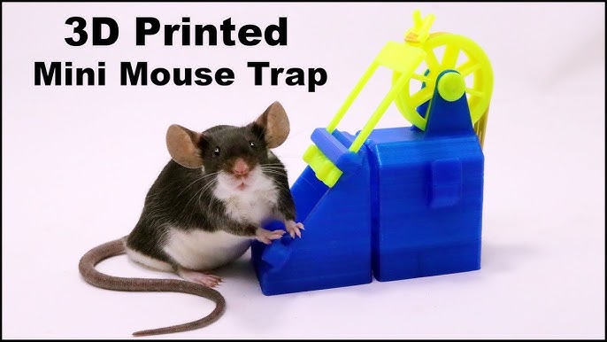 Awesome 3d Printed Walk The Plank Mouse Trap. Mousetrap Monday