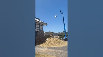 Zero fall damage: on