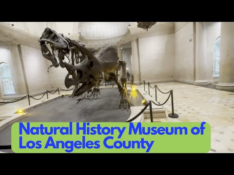 Video: Natural History Museum ng Los Angeles County