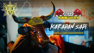 lagu pencak bantengan - KARAPAN SAPI