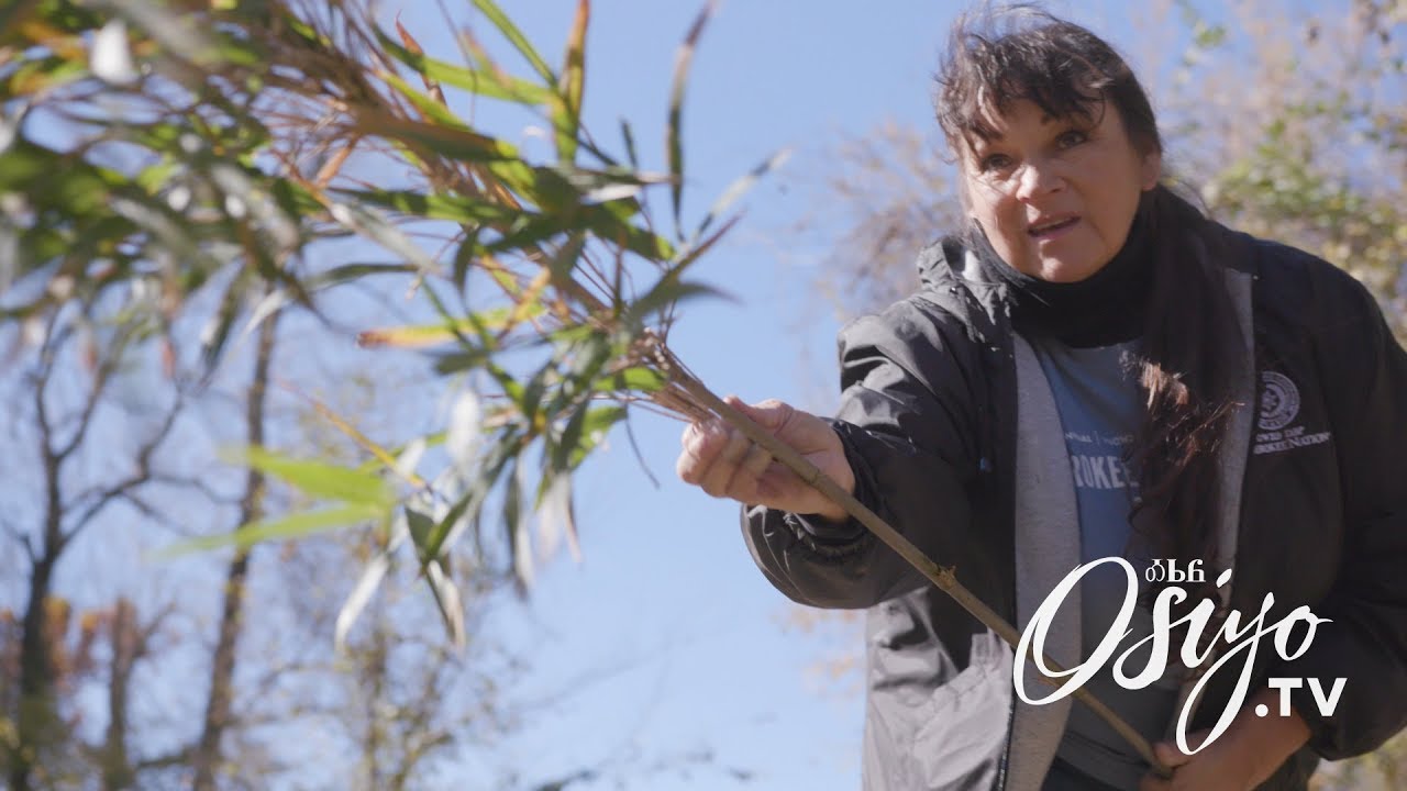 Vivian Garner Cottrell and the River Cane Weaving Revival