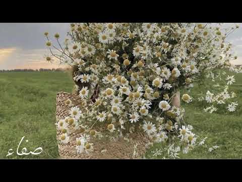 عطائنا بهمة صفاء