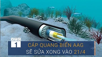 Bao giờ cáp quang biển AAG sẽ được sửa xong? | VTC1