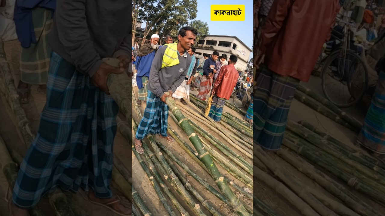 হাটে বাঁশের দাম শুনুন। 