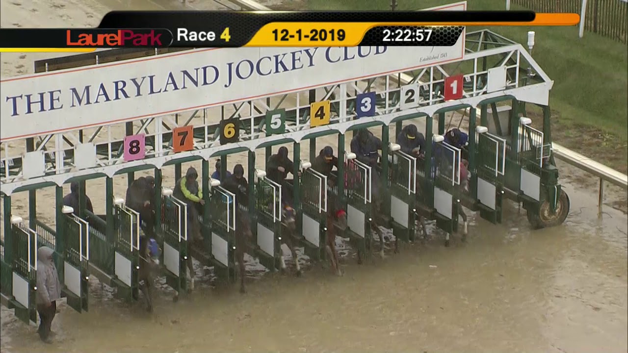 tvg laurel park