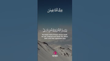 لحظة خشوع مع آيات تروي الروح وتريح البال 🕊️✨ #سكينة #قرآن_كريم