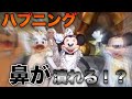 【ハプニング】ミニーさんのお鼻が、、、、。つぶれた。‐TDL8月27日「ワンマン」初回‐