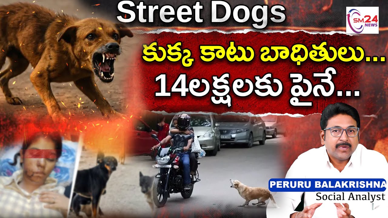 Street Dogs |Shocking Facts About Dog Bites | కుక్క కాటు బాధితులు14లక్షలకు పైనే.|Street Dogs Danger!