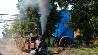 The Last Working Steam Locomotives in Java - Pangka Sugar Mill