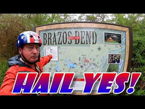 Brazos Bend State Park — field still 4