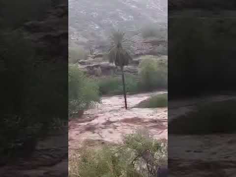 شاهد سيول عزلة شمير كيف دمرت كل ما هو جميل بالوادي حملت الأشجار والاحجار لا حول ولا قوة إلا بالله  شاهد سيول عزلة شمير كيف دمرت كل ما هو جميل بالوادي حملت الأشجار والاحجار لا حول ولا قوة إلا بالله