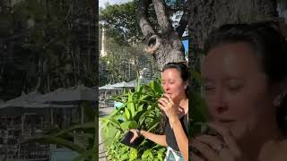 Places to Eat in Waikiki | Barefoot Bar at Hale Koa | ↑ Click for FULL video