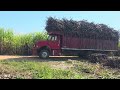 Viaje de Fletero rumbo al Ingenio