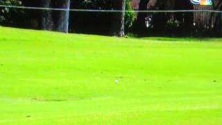 Jack Nicklaus at 72, Arnold Palmer at 82, Gary Player at 76, Driver Swings
