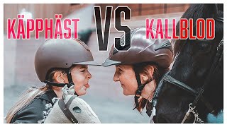 Käpphäst VS Kallblod