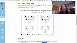 Module 3 Application Assignment Instructions 1