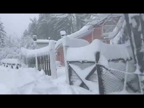 Sila sommersa da una NEVICATA STORICA: immagini straordinarie dalla Calabria!!!