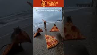 🇺🇲San Francisco Weather Storm Damage—Rats Families Evacuate Using Cheese as Anchorage