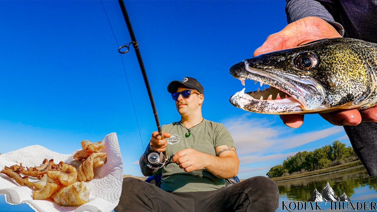 Huge Toothy Fish Catch and Cook Missouri River Breaks 1 of 4 YouTube