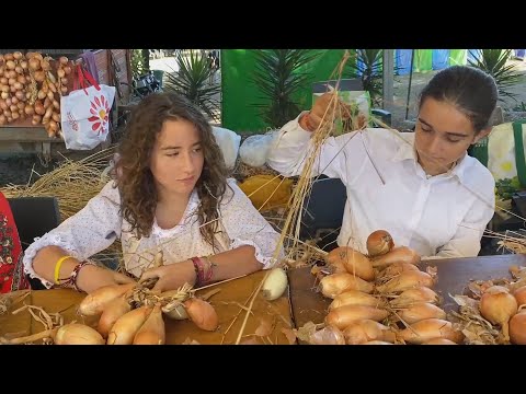 Famalicão: cebola é rainha na Mostra Comunitária de Gondifelos