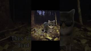 Horror Oiia Cat