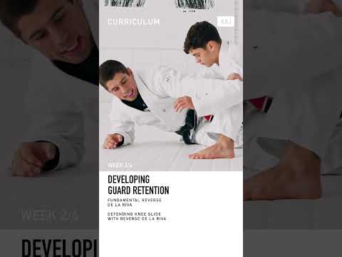 Developing Guard Retention 2 - Curriculum by Tainan Dalpra