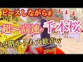 有明ガーデン ストリートピアノ超高速【千本桜】見た事ない高速で弾いて見た!w