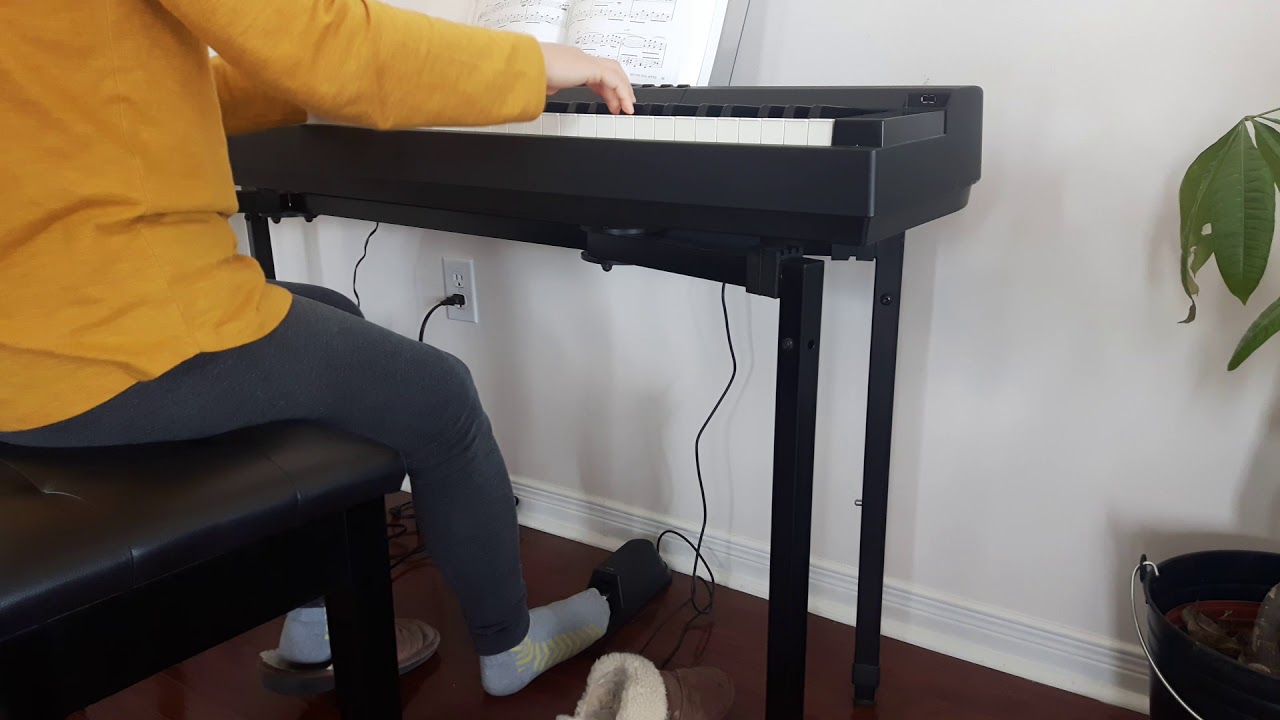 Yamaha P-255 digital piano