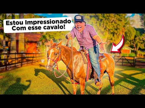 PRIMEIRA VEZ MONTANDO NO MEU CAVALO NOVO 🐴😍