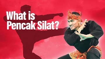 Pencak Silat Explained: History, rules & India’s progress | The Bridge