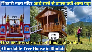 Roads to Shikari Devi|| Bhulah Biodiversity park|| Tree house stay in Bhulah Janjehli