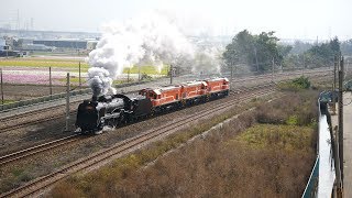 【4K】2018/01/17-蒸汽機車DT668試運轉8798次,龍井南通過.