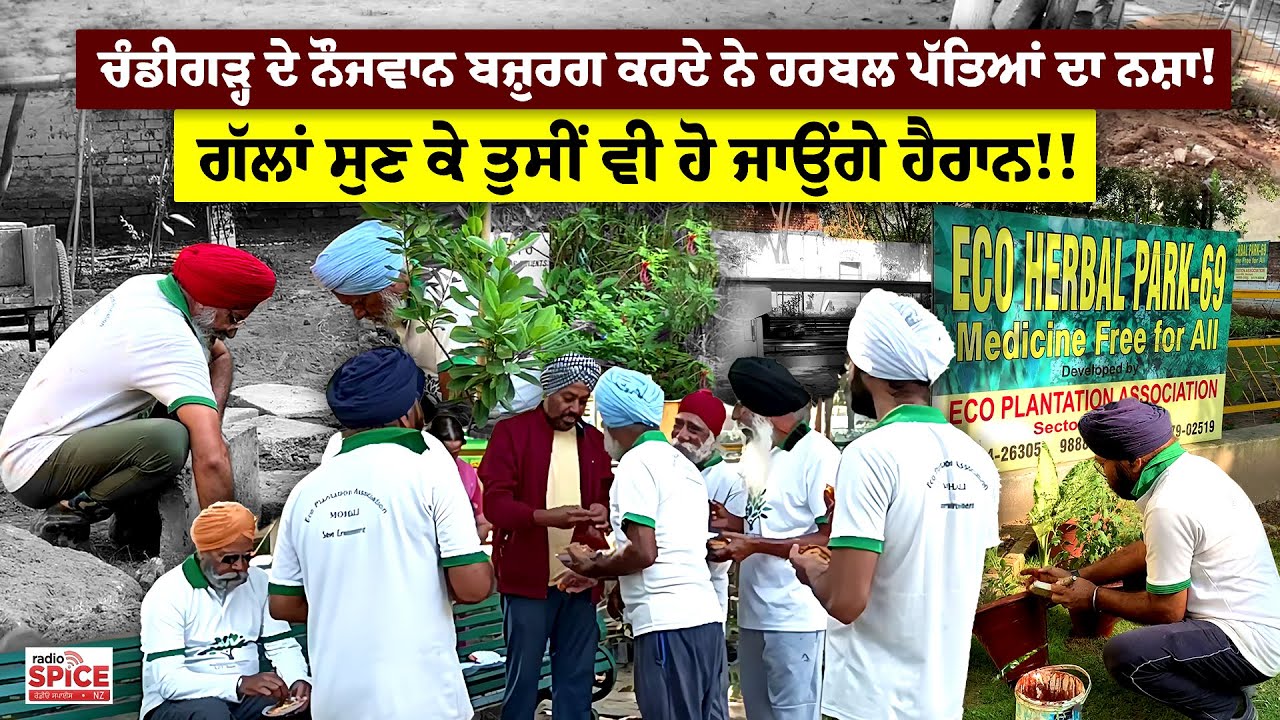 ਚੰਡੀਗੜ੍ਹ ਦੇ ਨੌਜਵਾਨ ਬਜ਼ੁਰਗ ਕਰਦੇ ਨੇ ਹਰਬਲ ਪੱਤਿਆਂ ਦਾ ਨਸ਼ਾ! ਗੱਲਾਂ ਸੁਣ ਕੇ ਤੁਸੀਂ ਵੀ ਹੋ ਜਾਉਂਗੇ ਹੈਰਾਨ!!